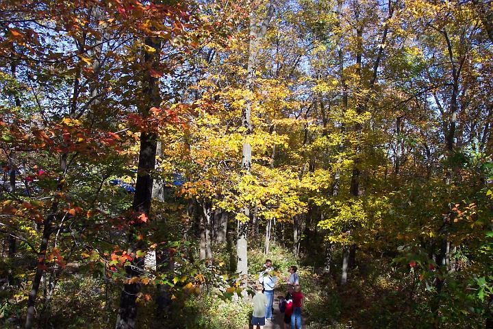 fall 039.jpg